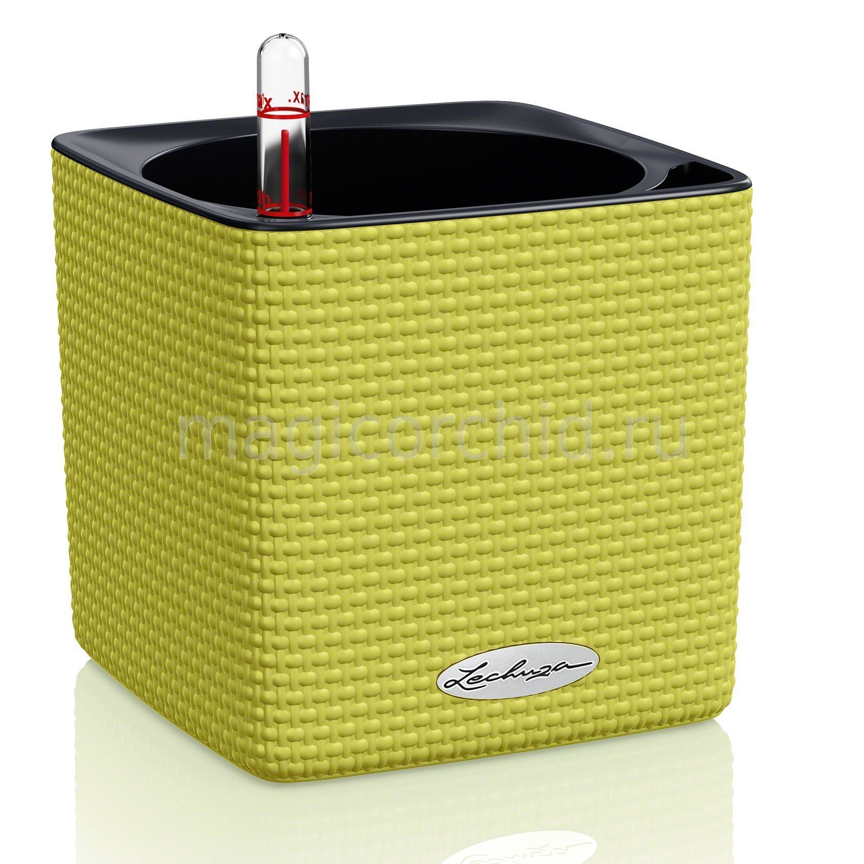 cube_color_lime